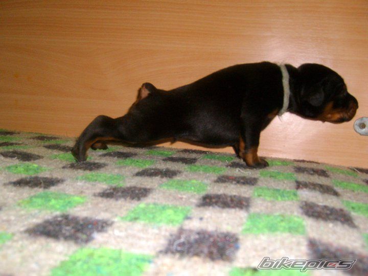 Photo 2142085