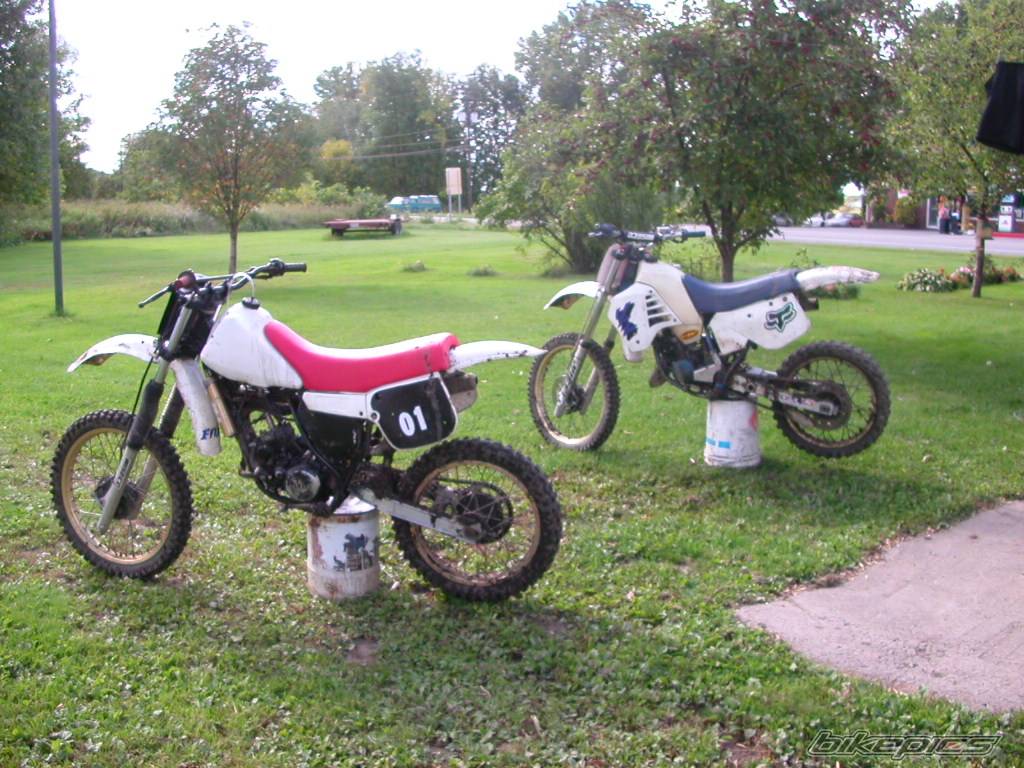 Photo 214299