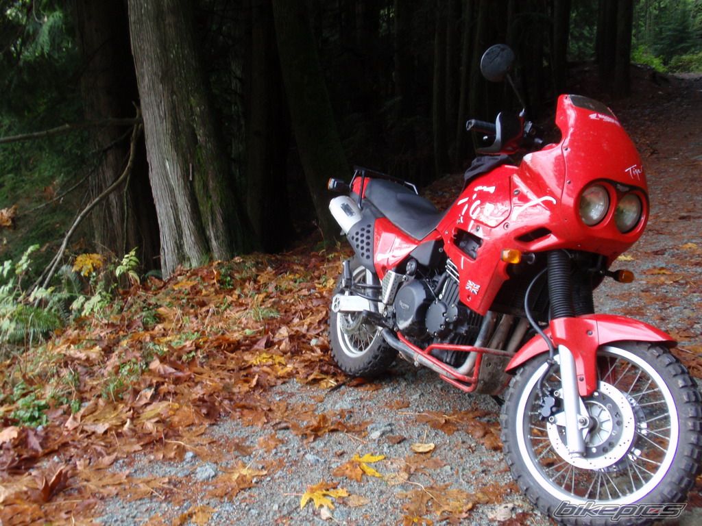 Bike Photo 2146525