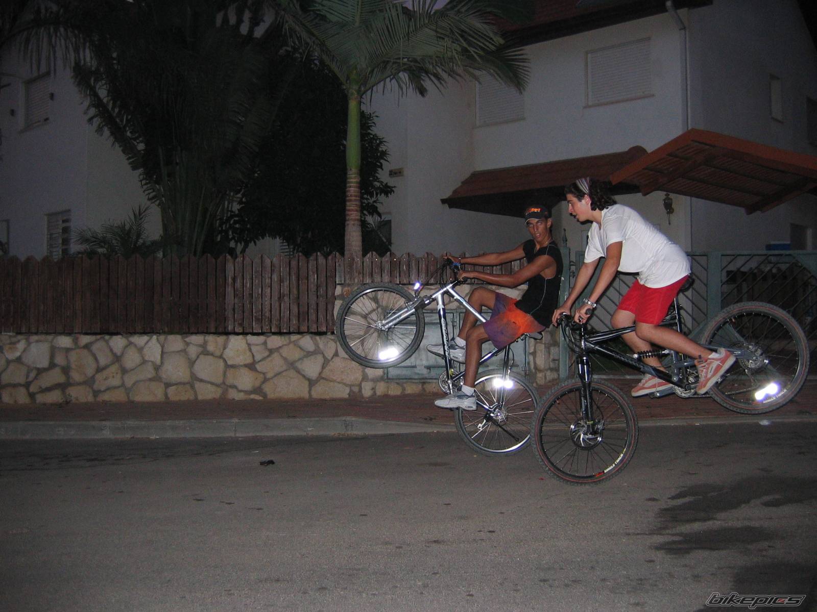 Photo 215205