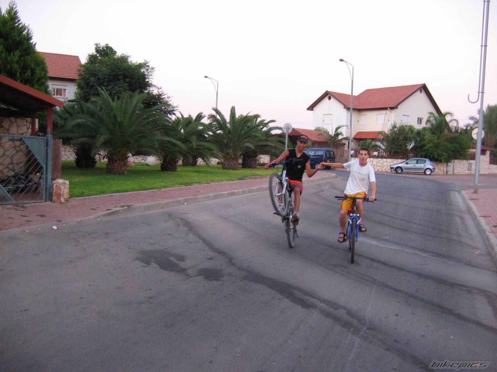 Photo 215219