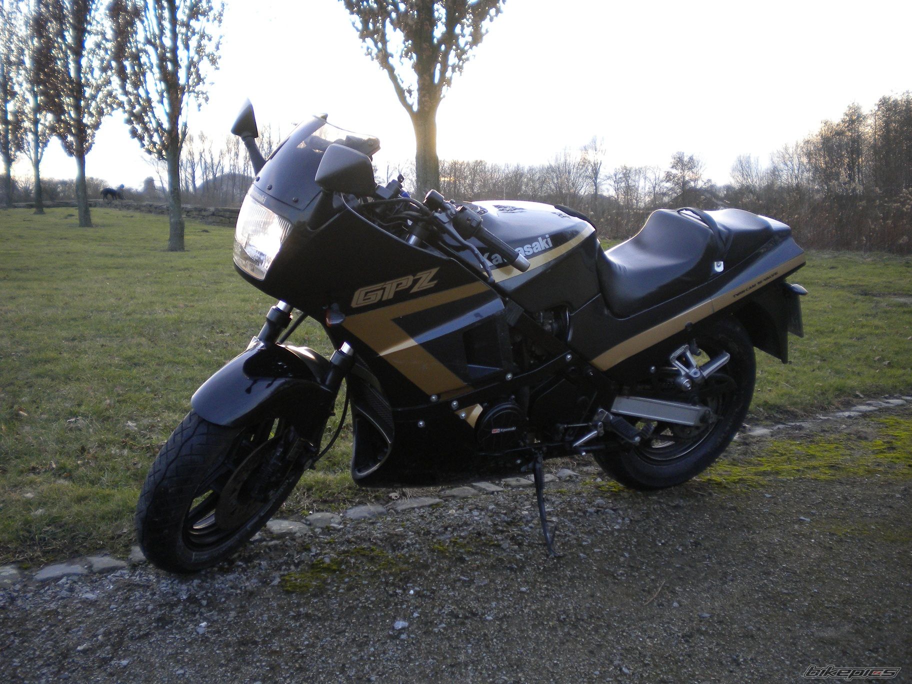 Photo 2153406