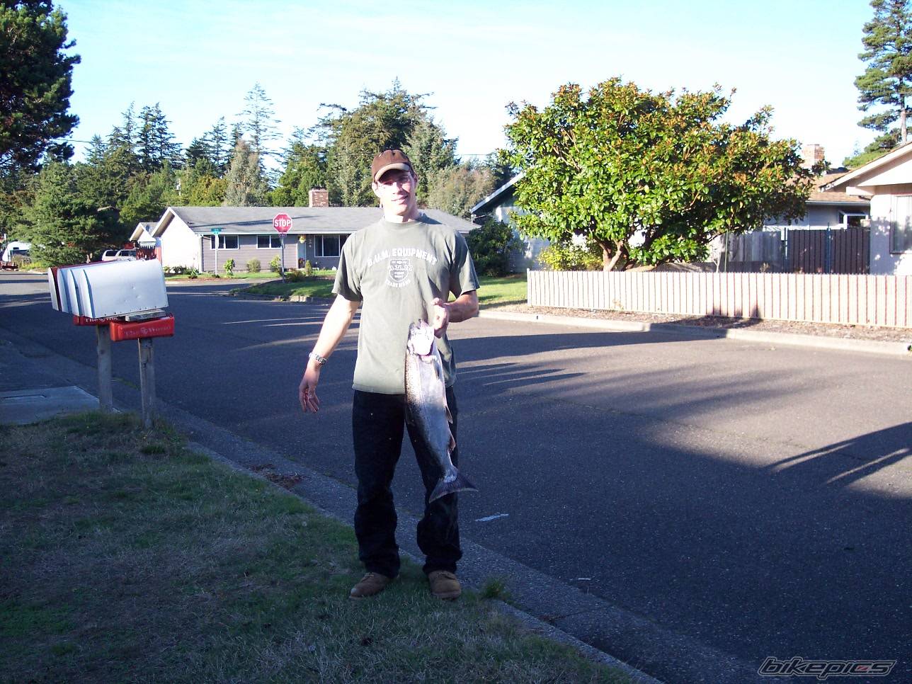 Photo 215977
