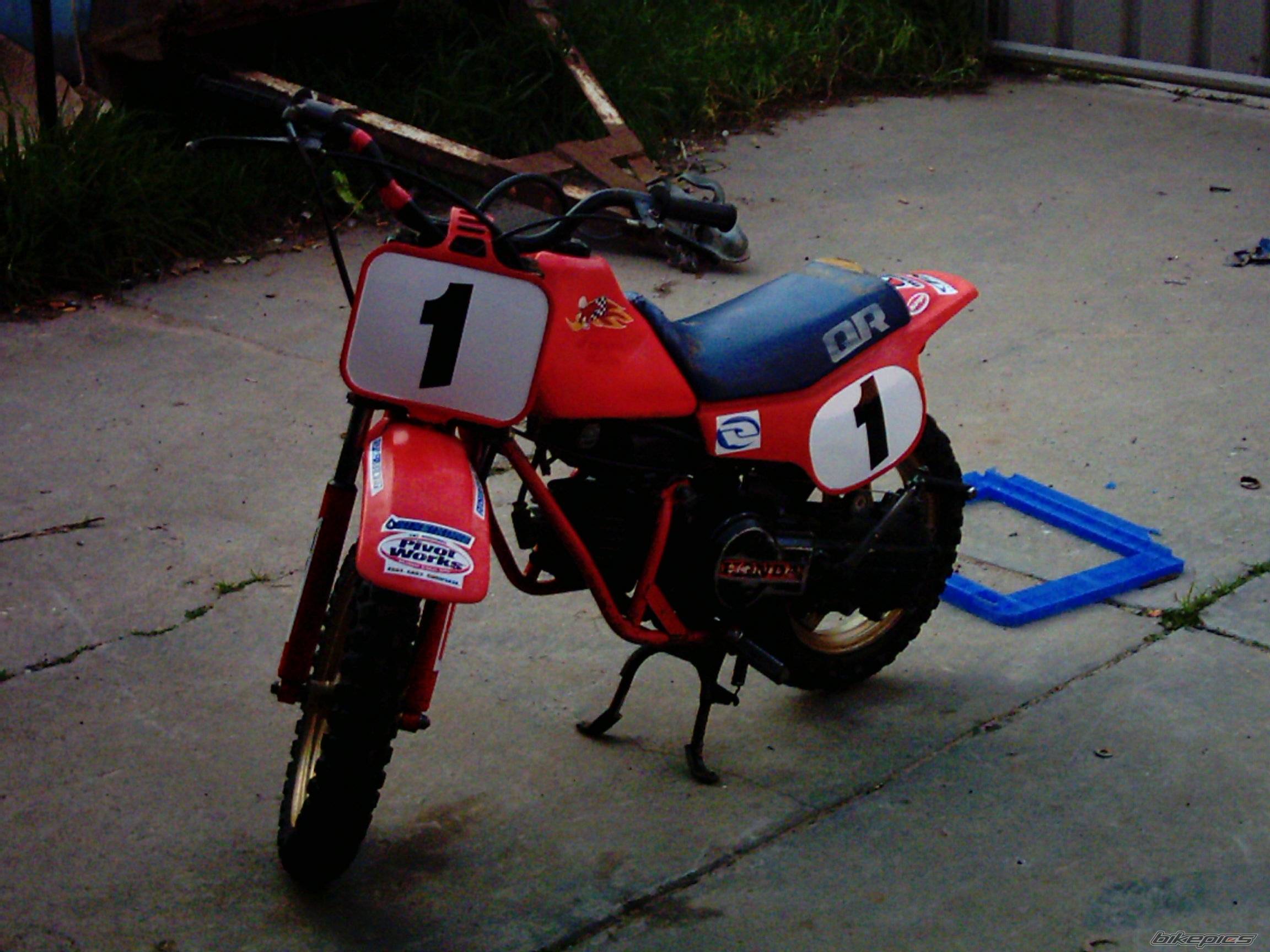 Photo 216064