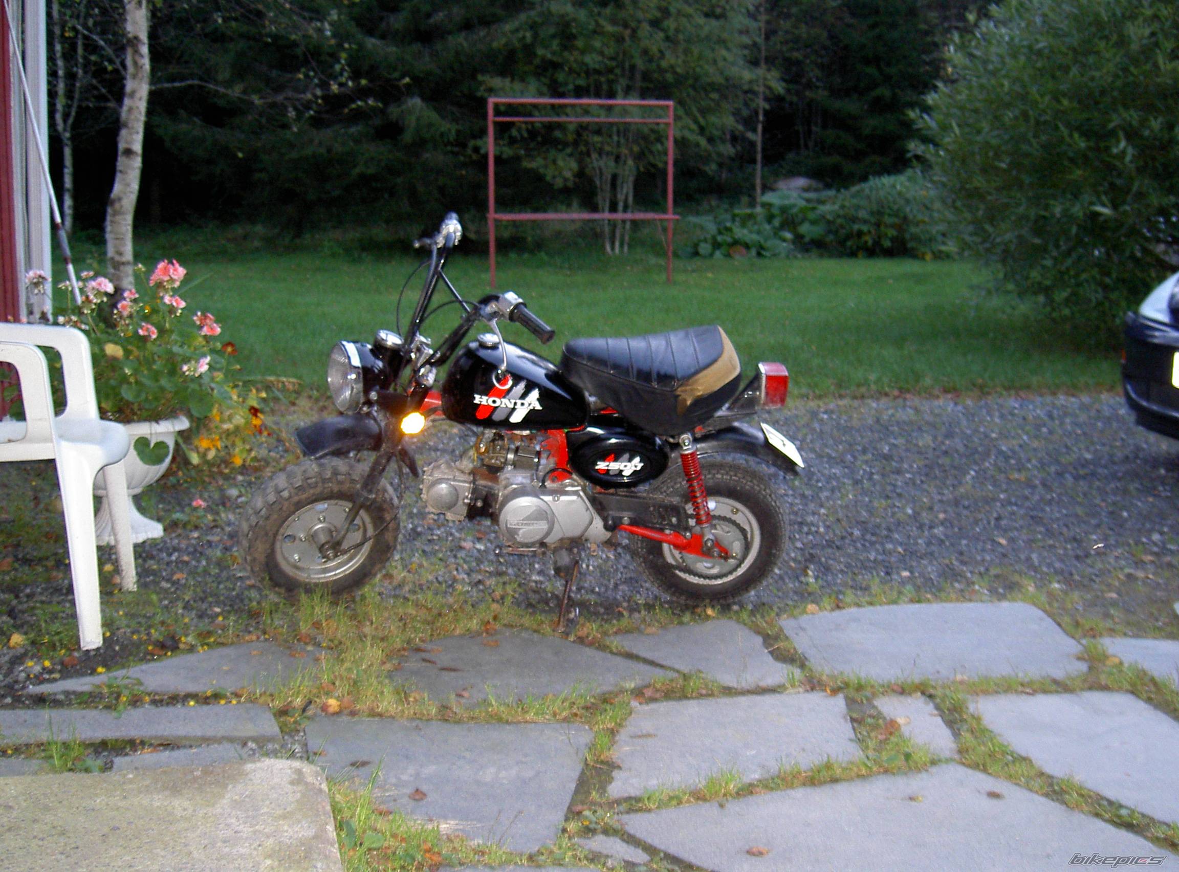 Photo 216170