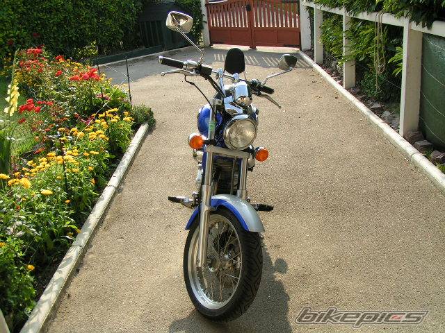 Photo 216175