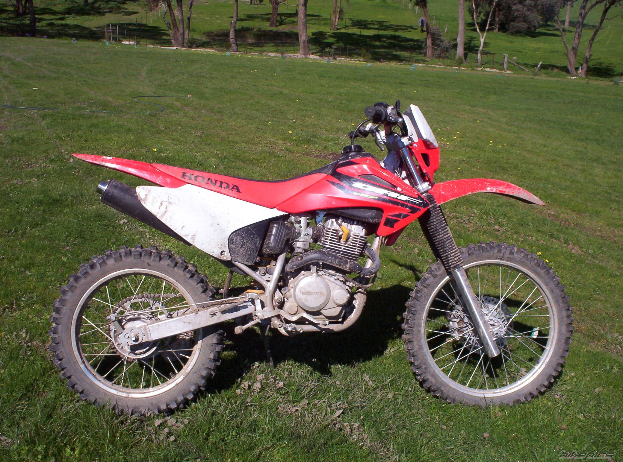 Photo 216201