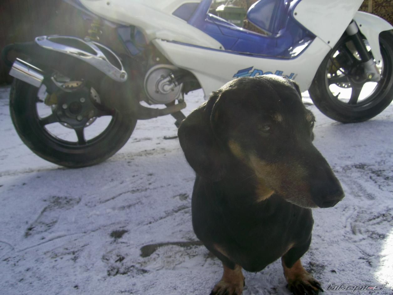 Photo 2166996