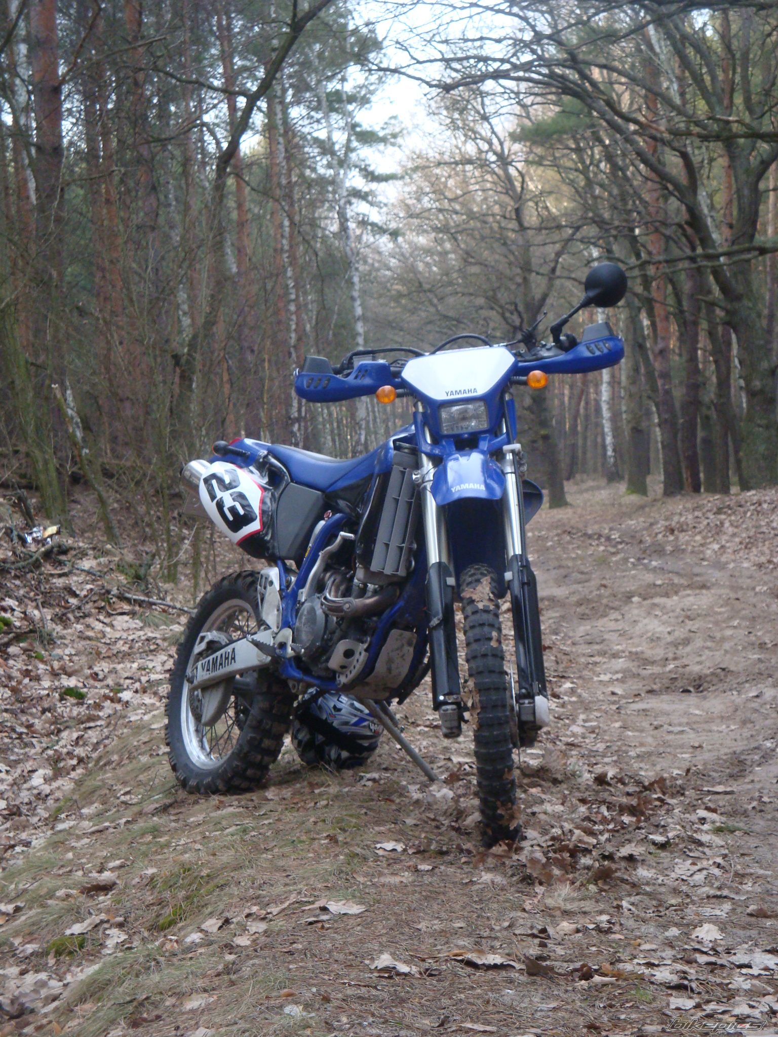 Bike Photo 2168607