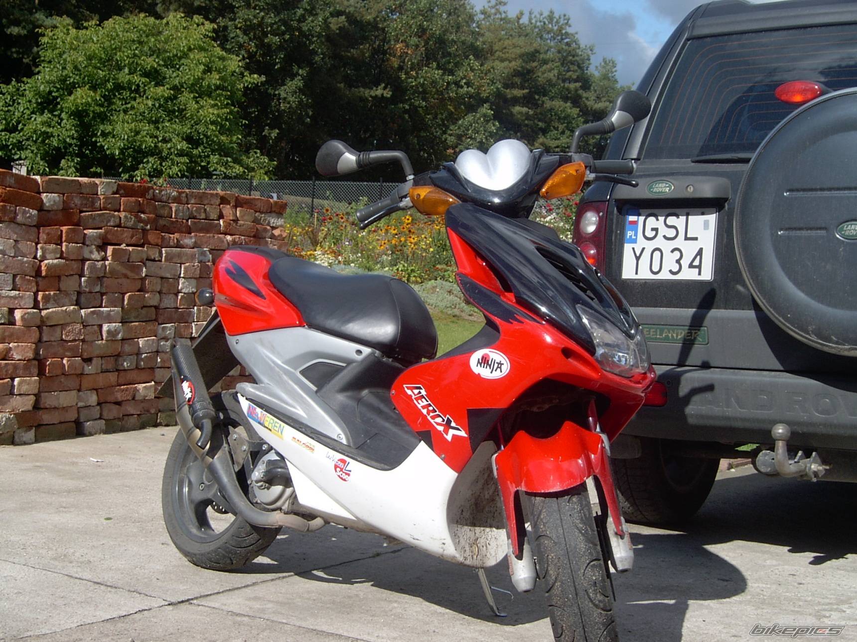 Photo 217094