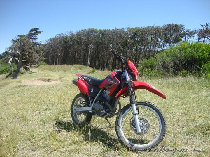 Photo 2174187