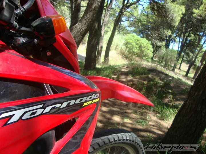 Photo 2174730