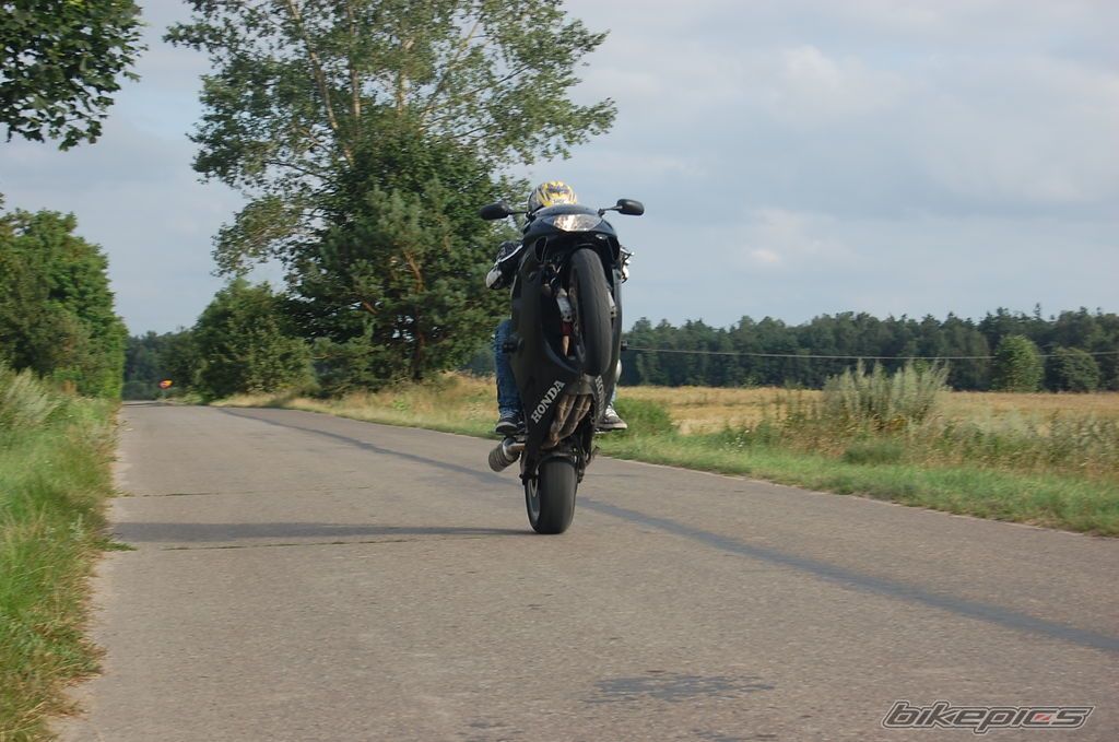 Photo 2177249