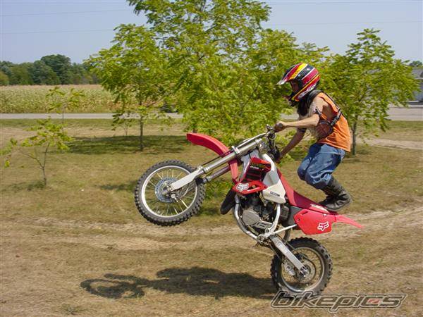 Photo 217836