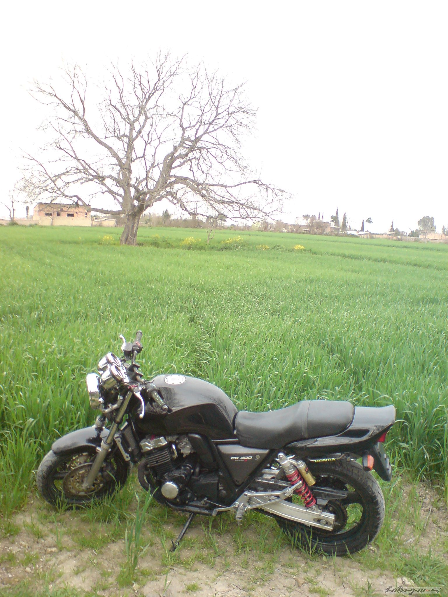 Photo 2180016