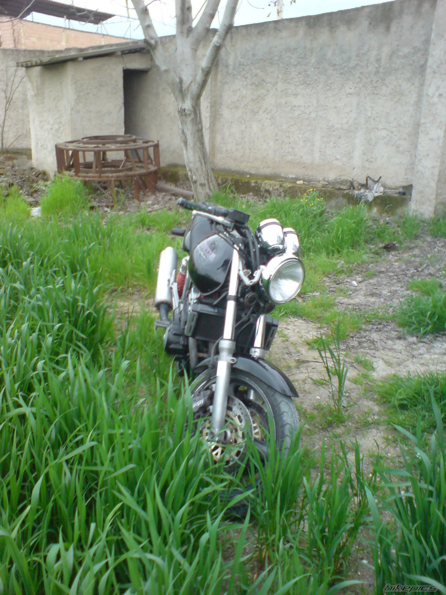 Photo 2180017