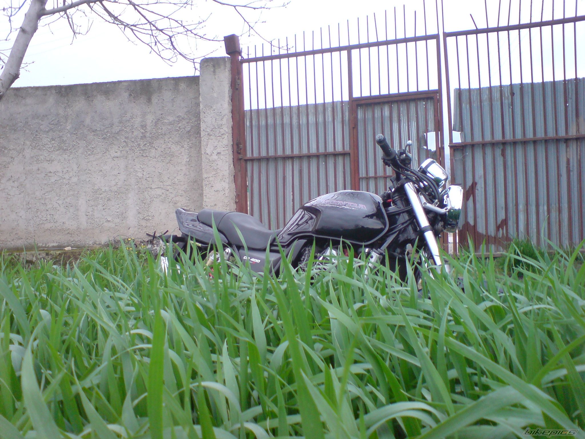 Photo 2180019