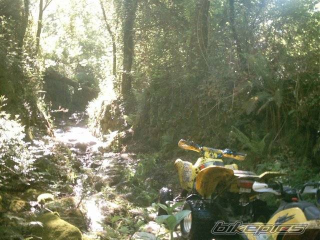 Bike Photo 218104