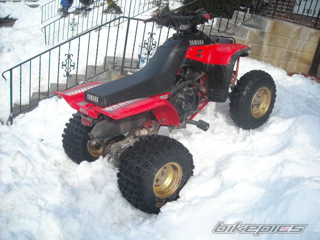 Photo 2183082