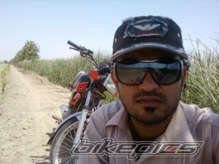 Photo 2183729