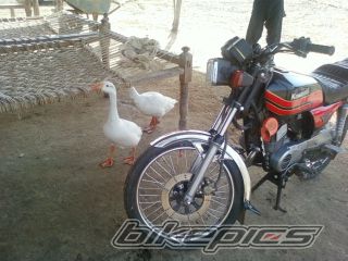 Photo 2183748