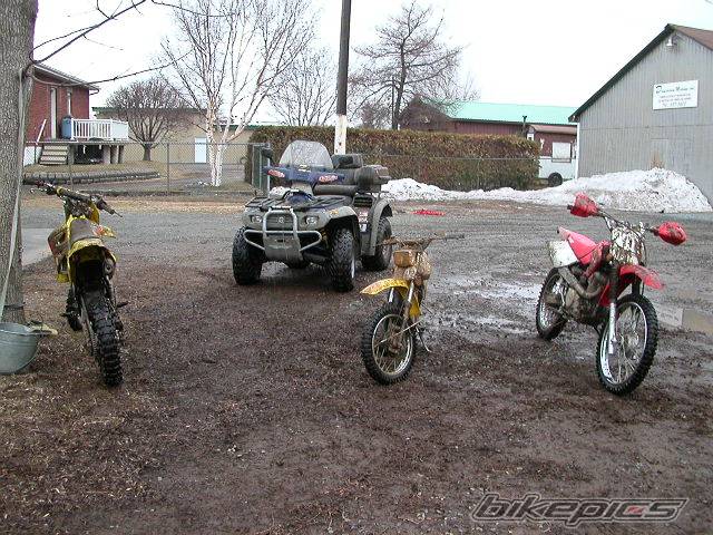 Photo 218381