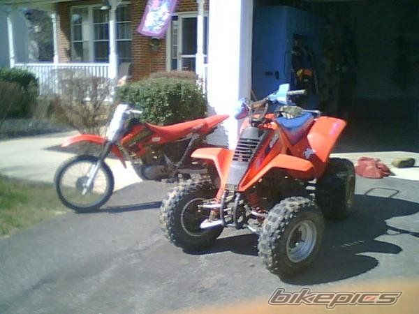 Photo 2194729