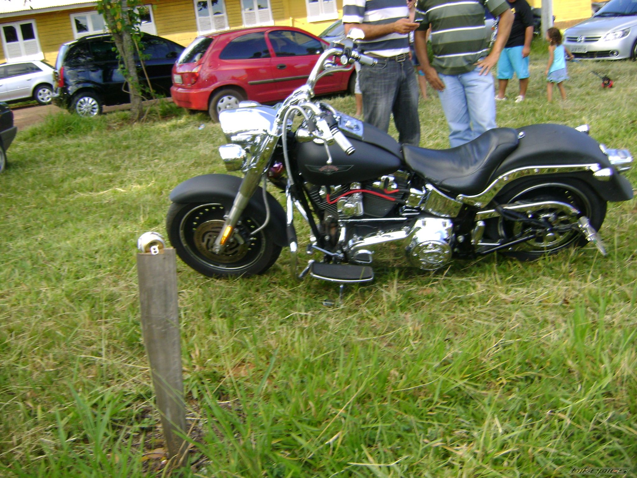 Photo 2195065