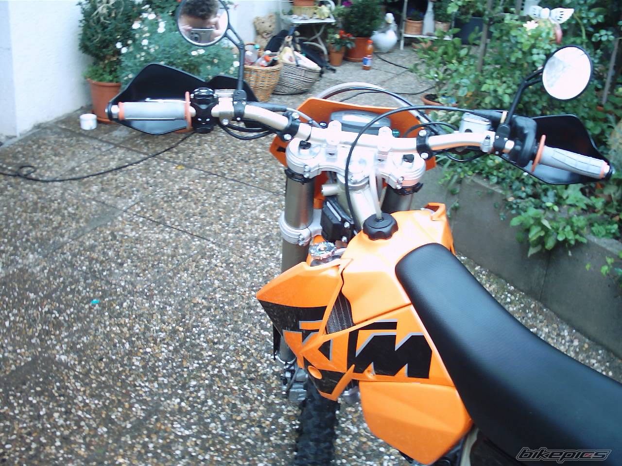 Photo 219571