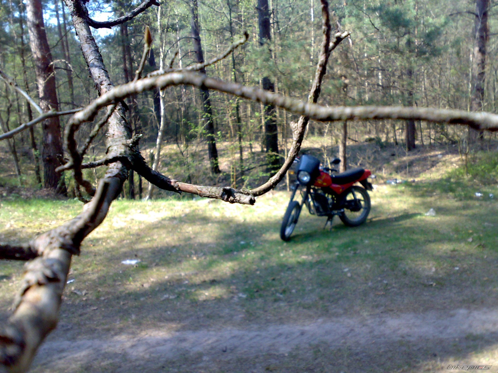 Bike Photo 2195911