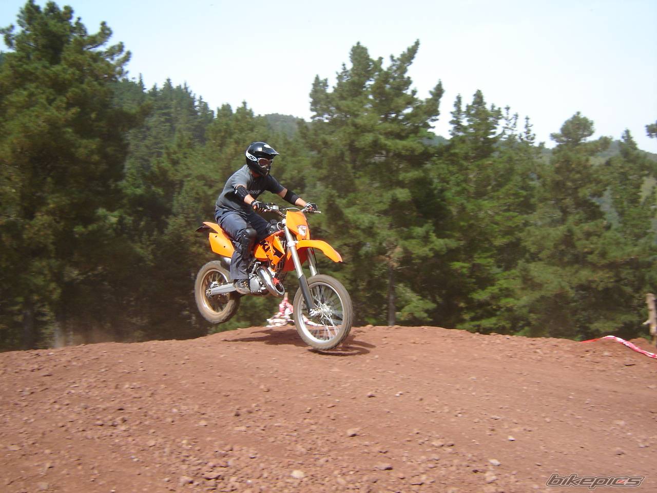 Photo 219691