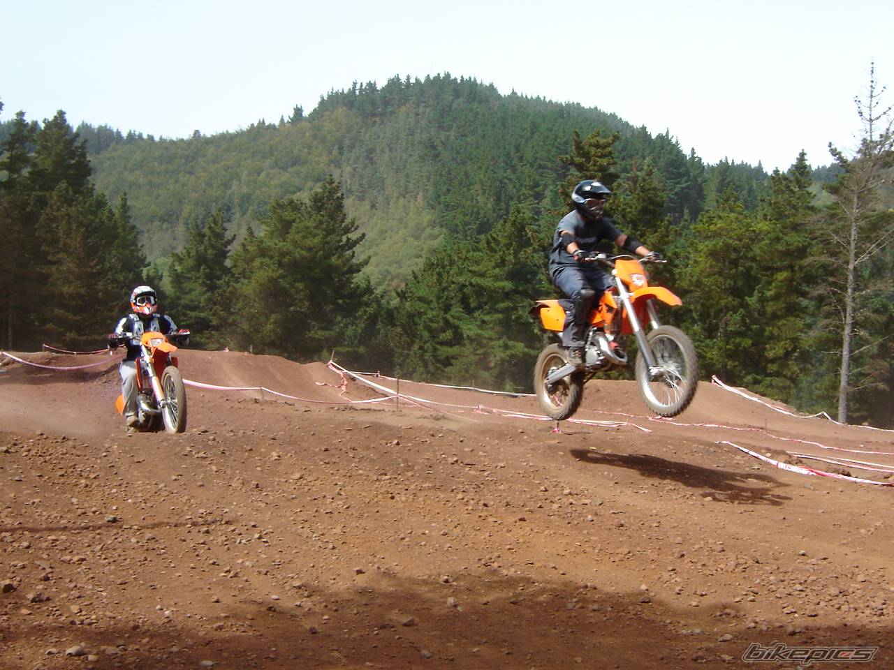 Photo 219693