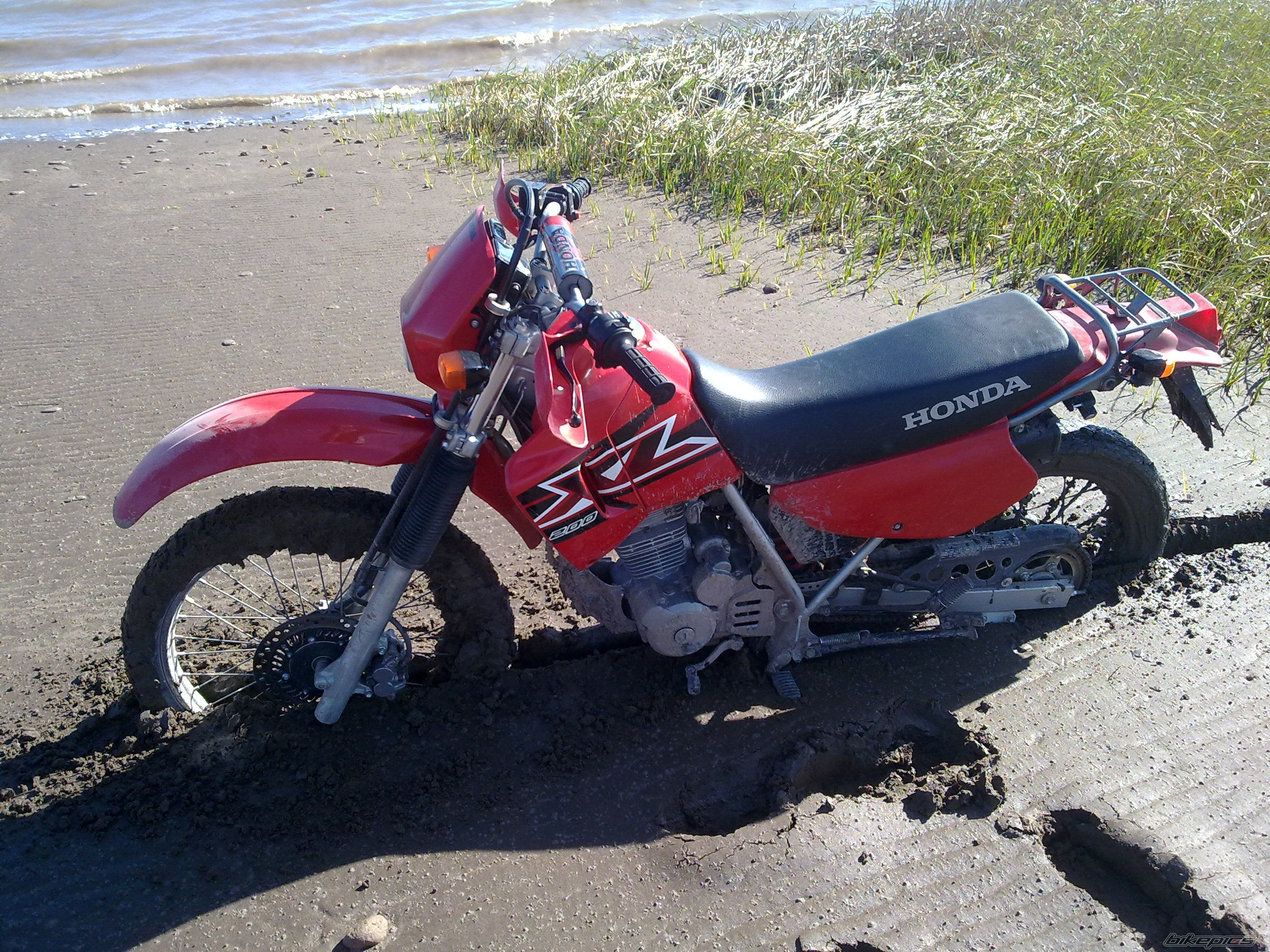 Photo 2198411