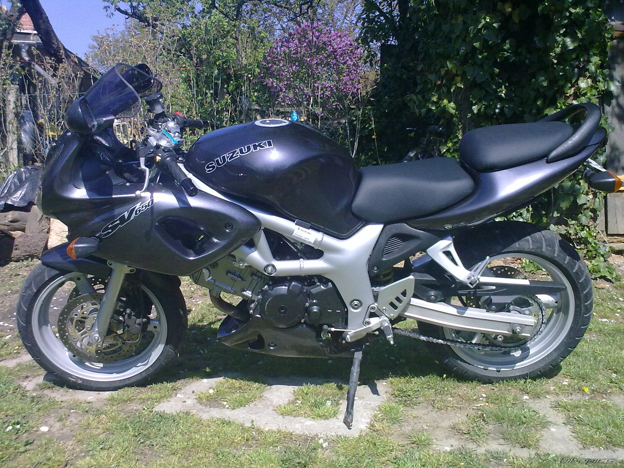 Photo 2199217