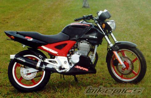 Photo 219974