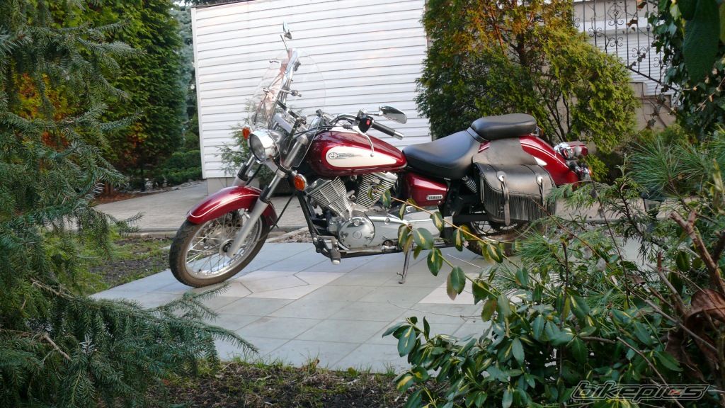 Photo 2205866