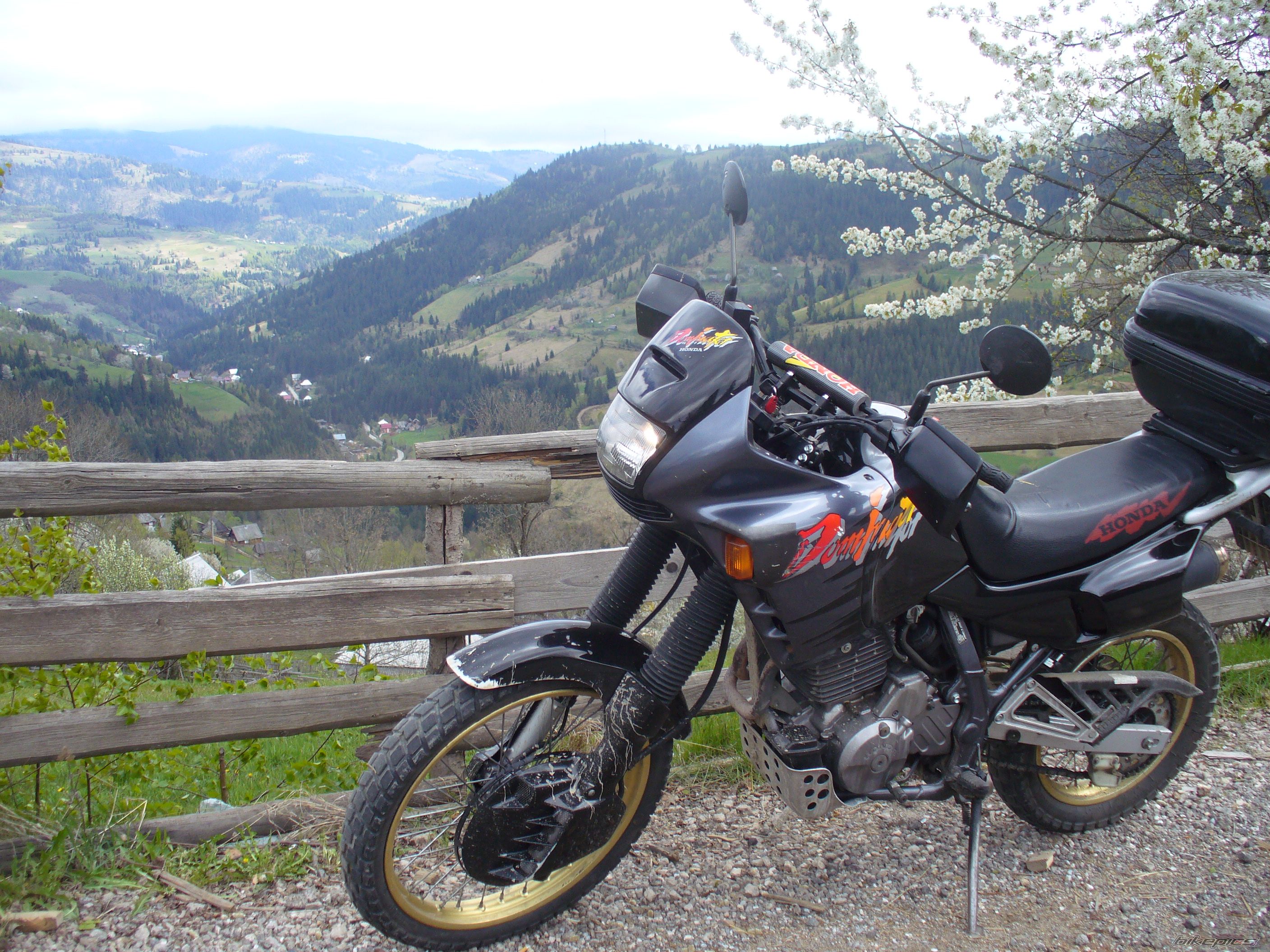 Photo 2206882