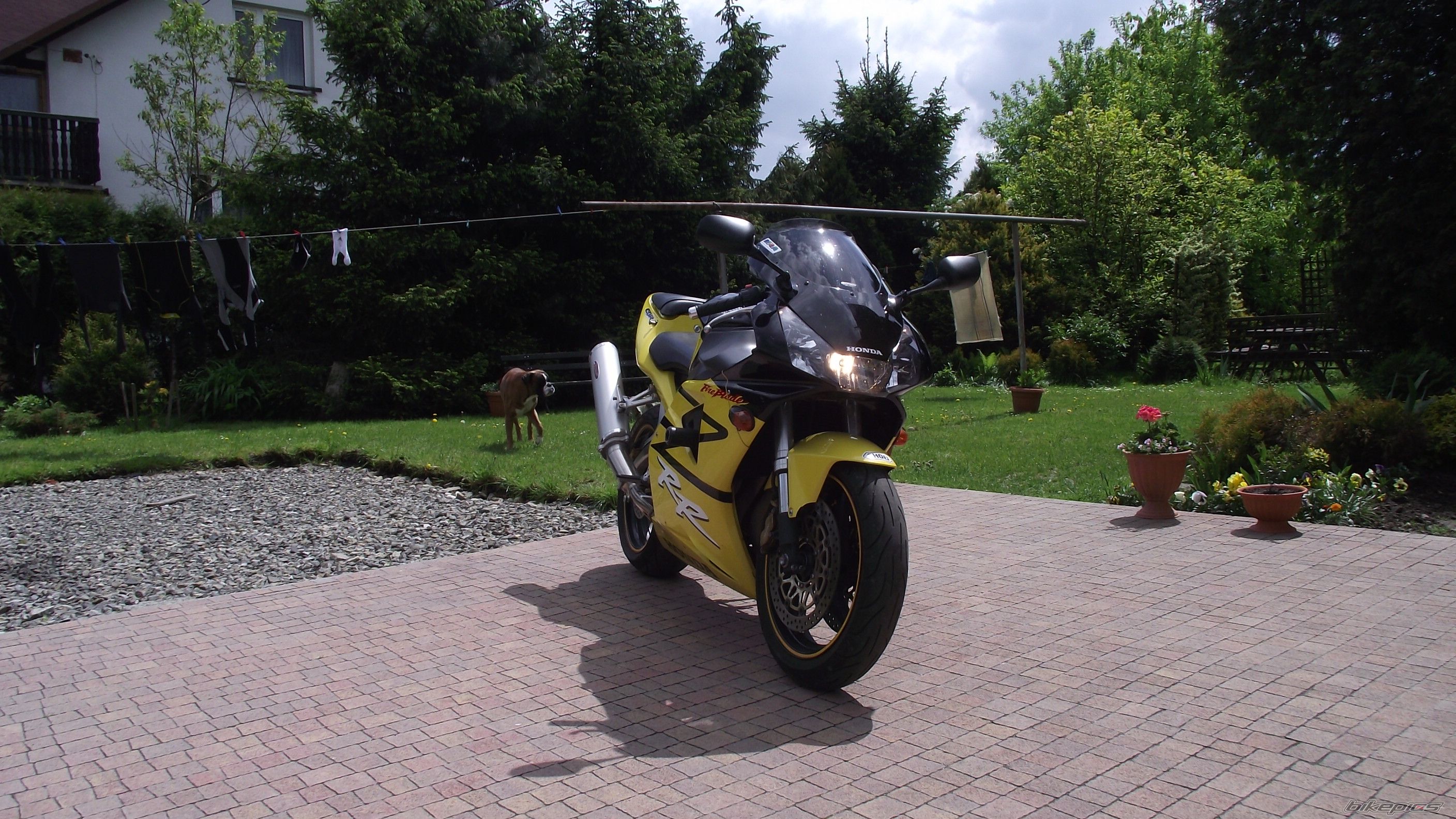 Bike Photo 2208521