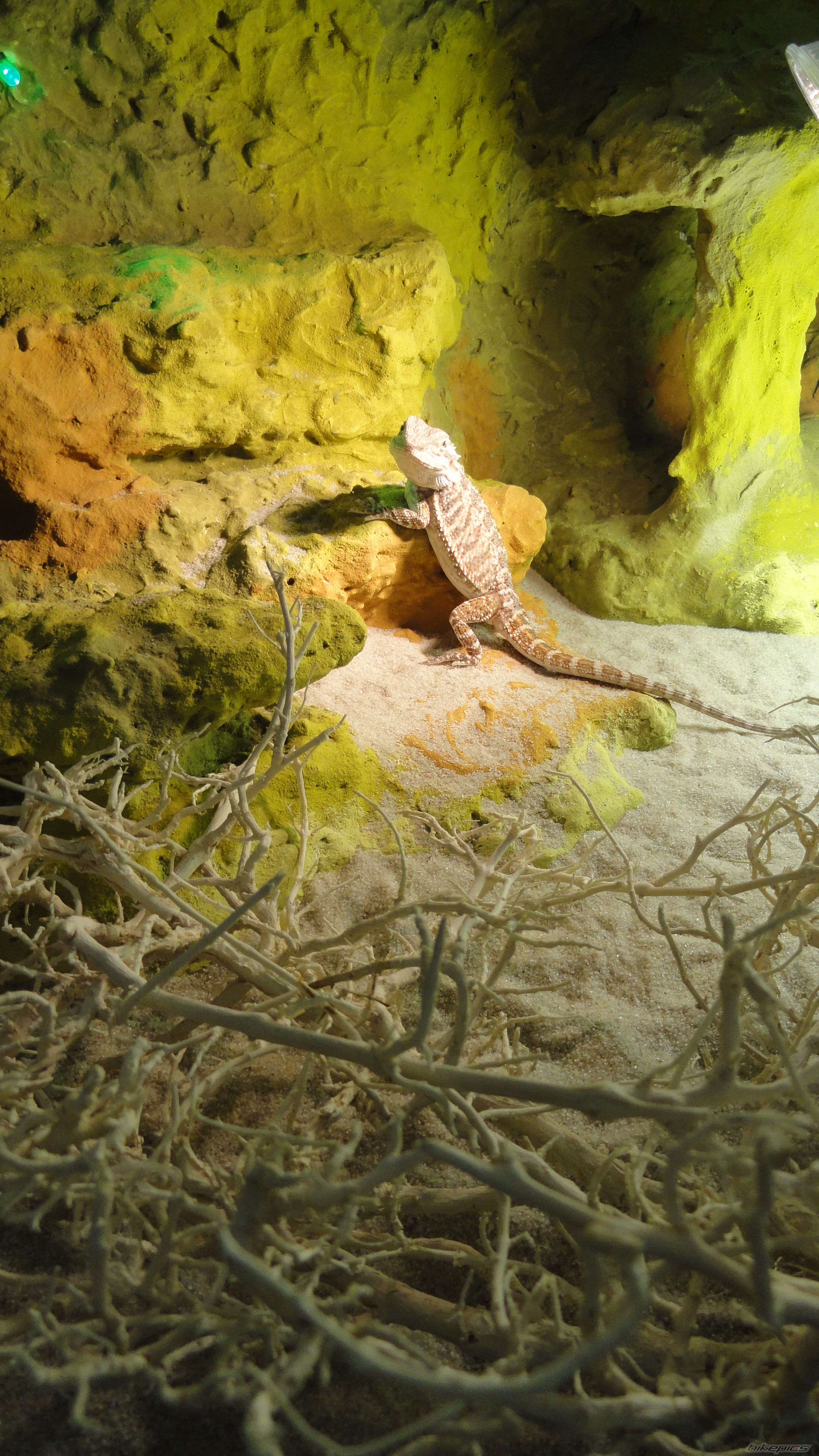 Photo 2212037