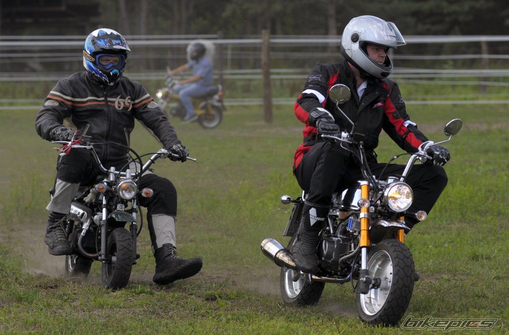 Photo 2212512