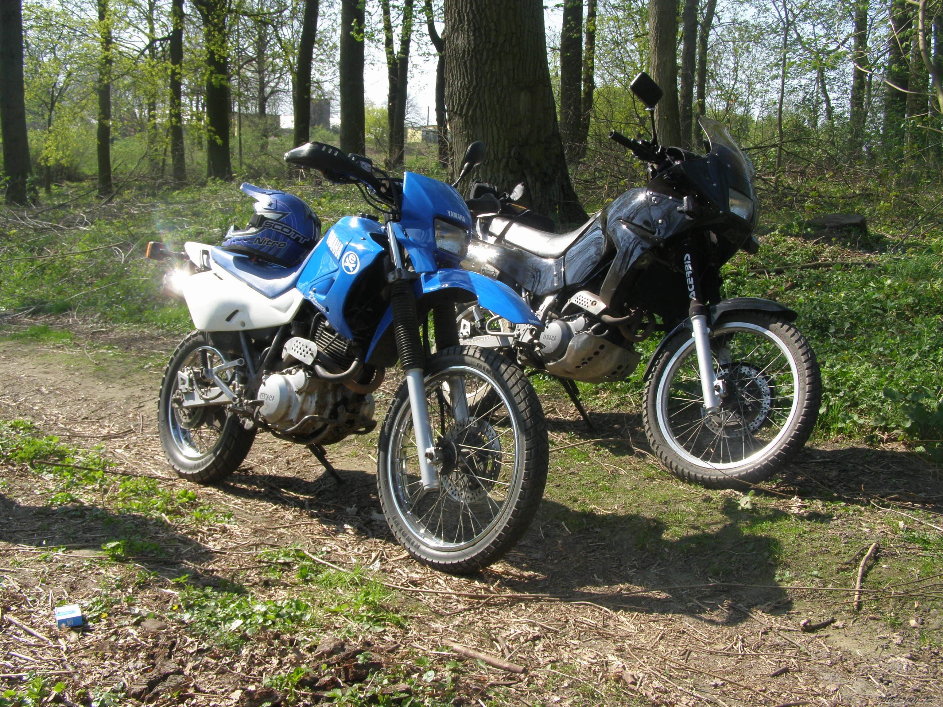 Photo 2217444