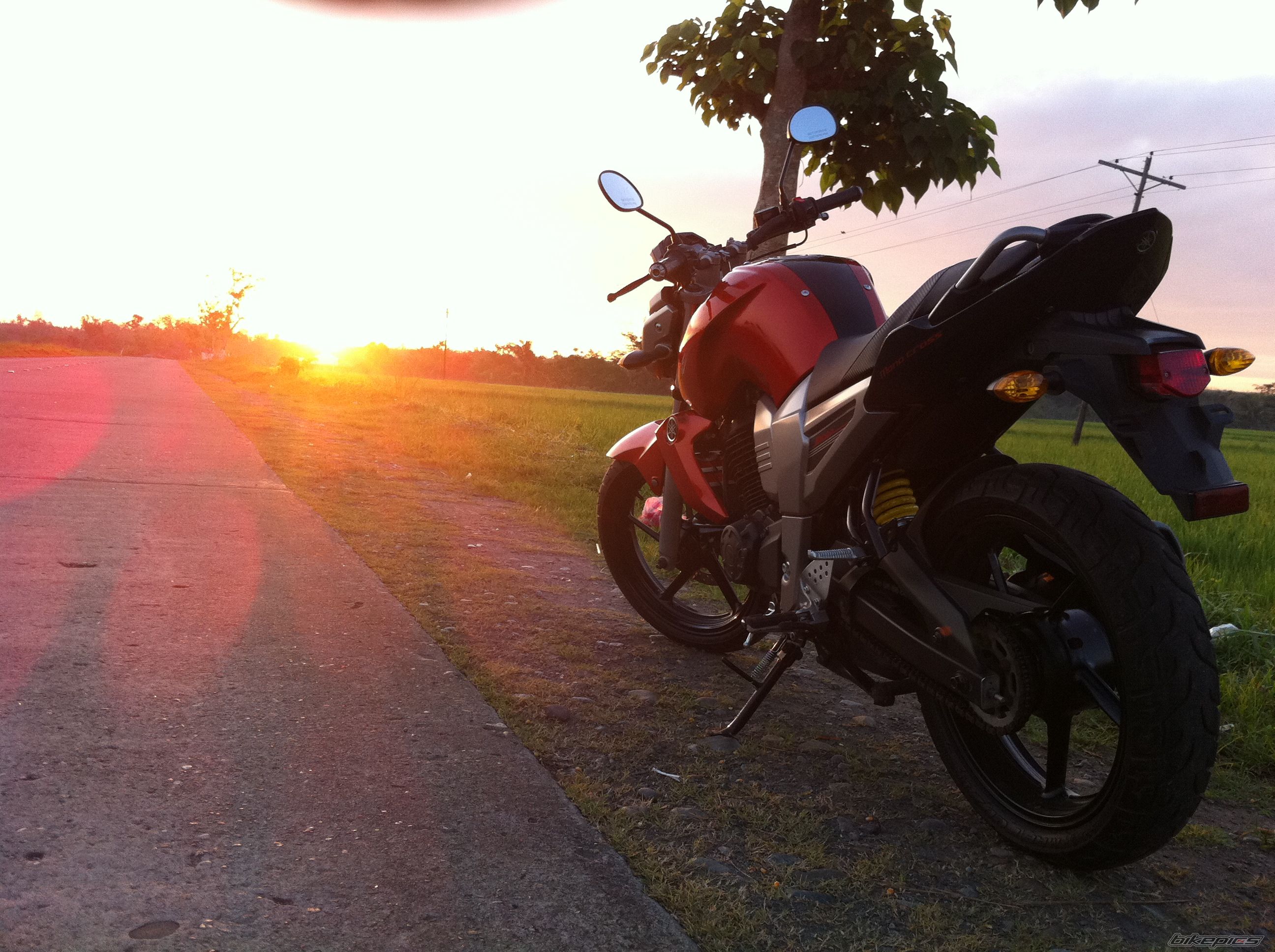 Bike Photo 2217528