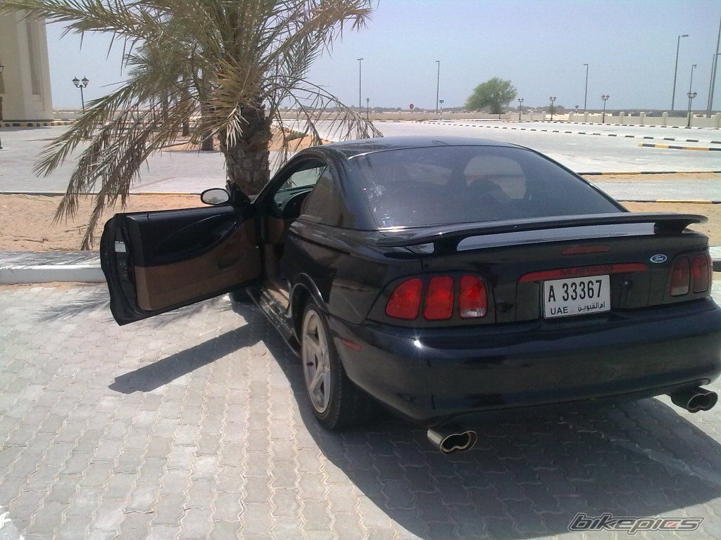 Photo 2217776