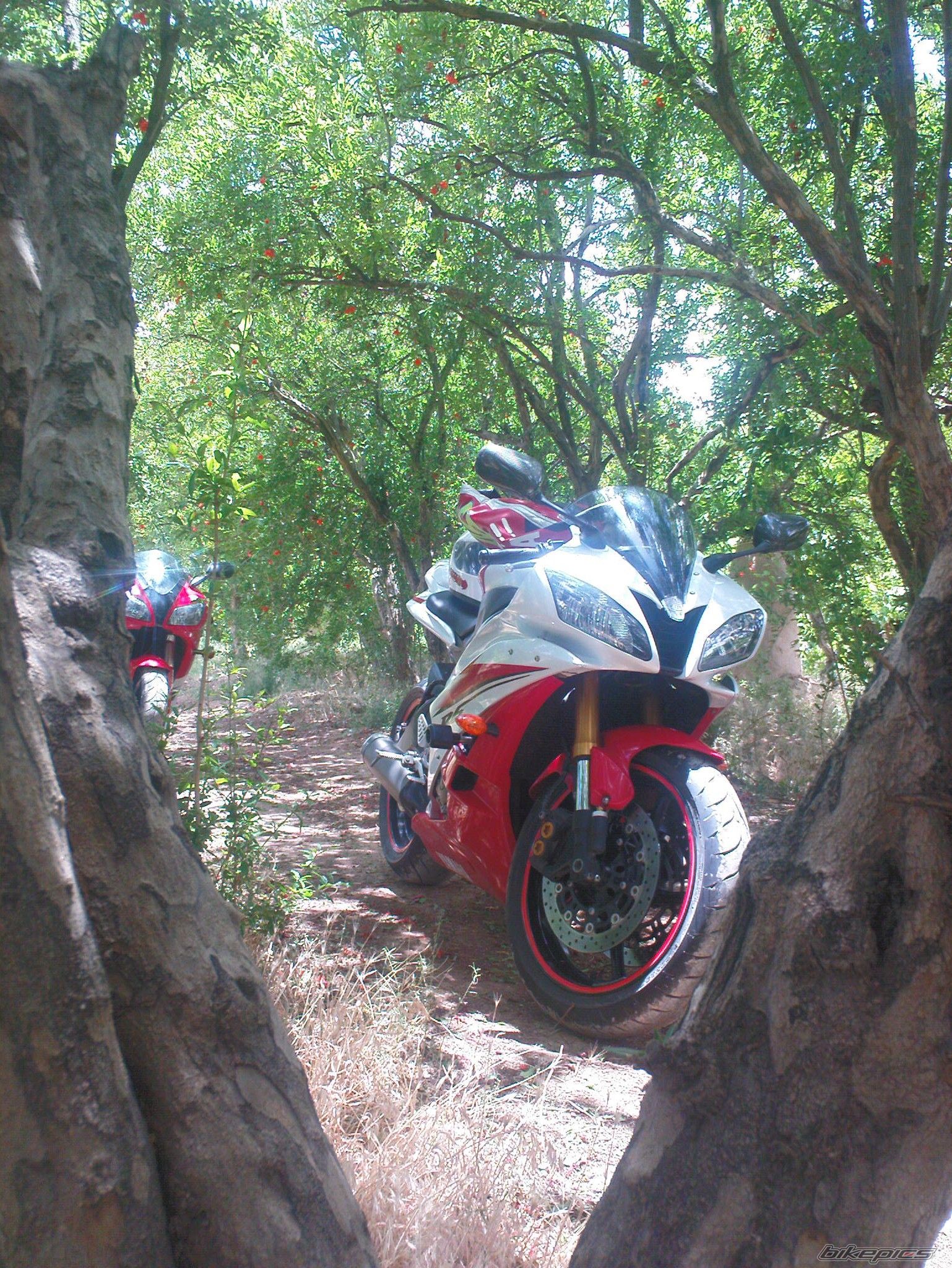 Photo 2218422