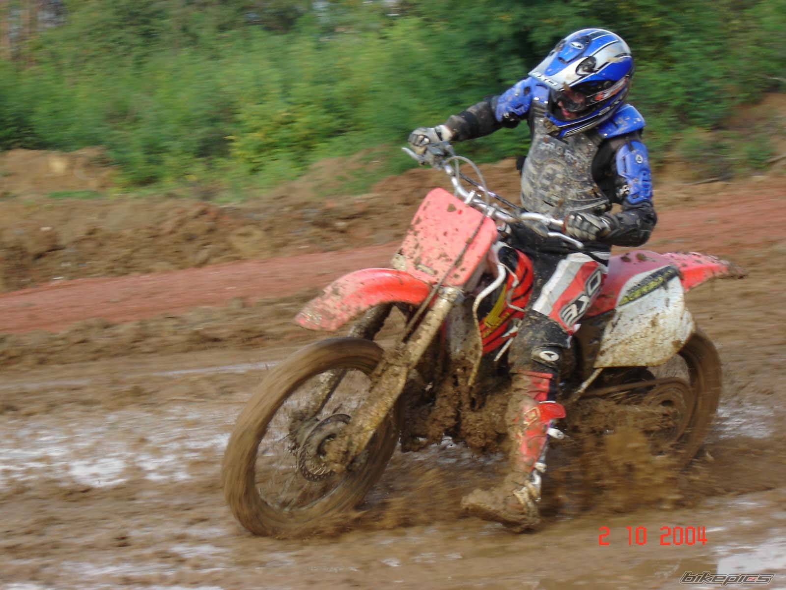 Photo 221865