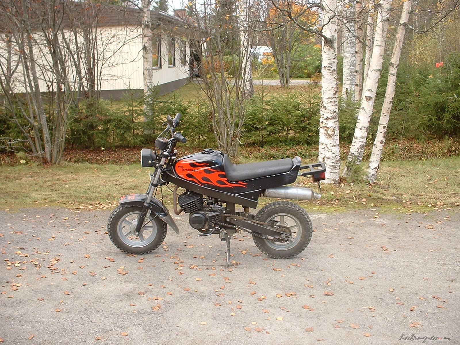 Photo 222267