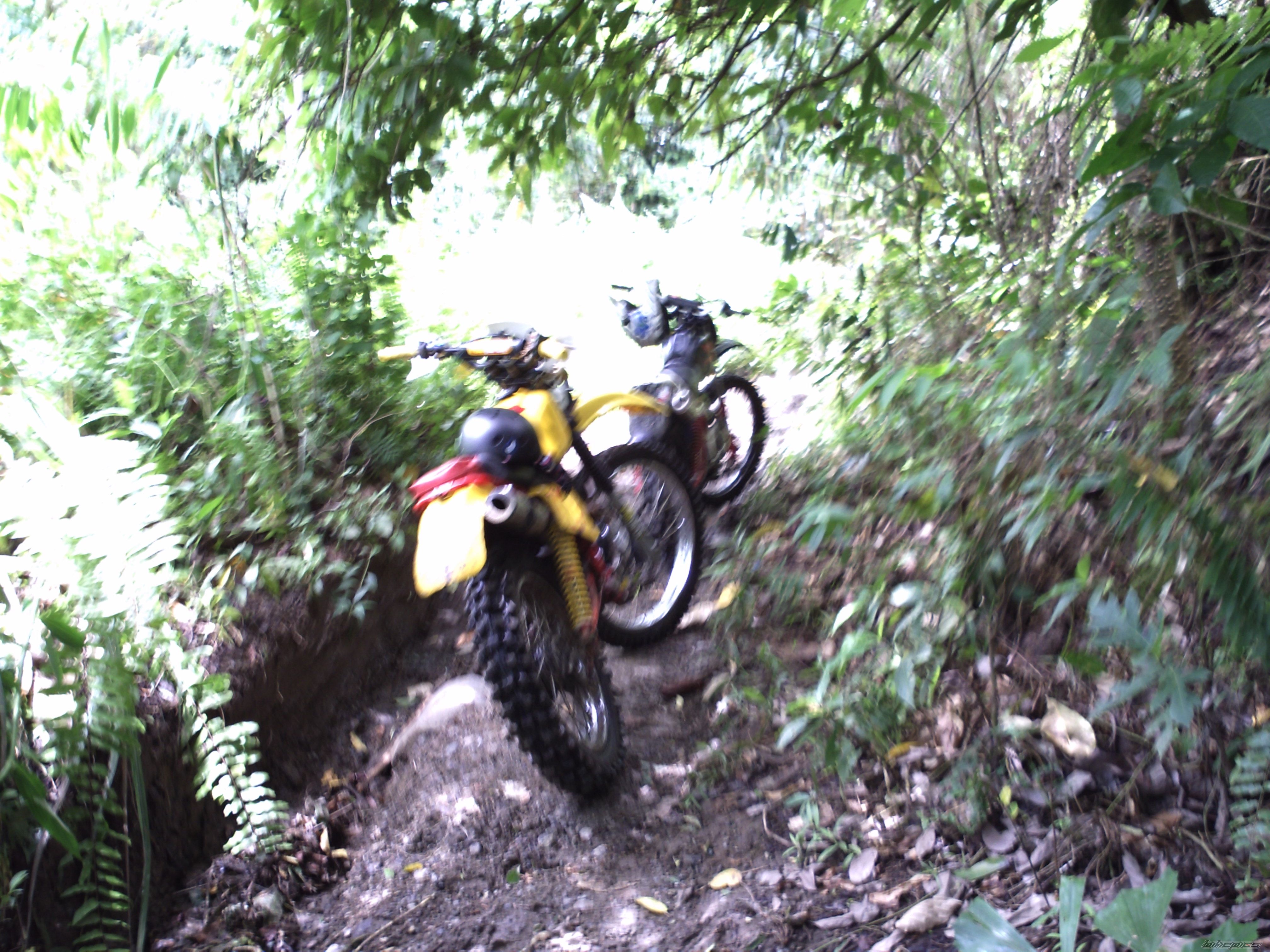 Photo 2225082