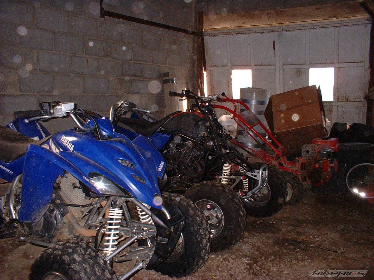 Photo 222719