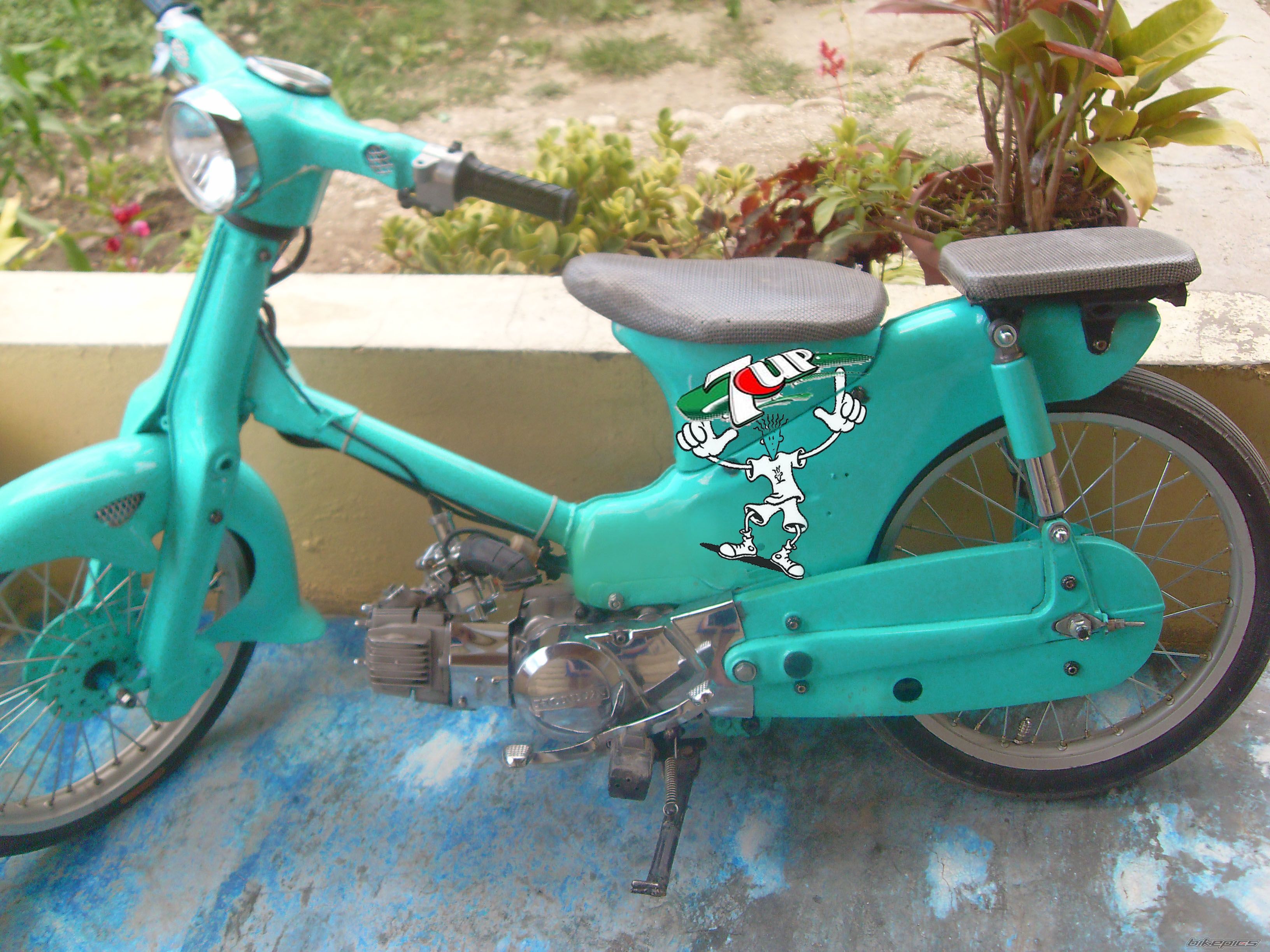 Photo 2229909