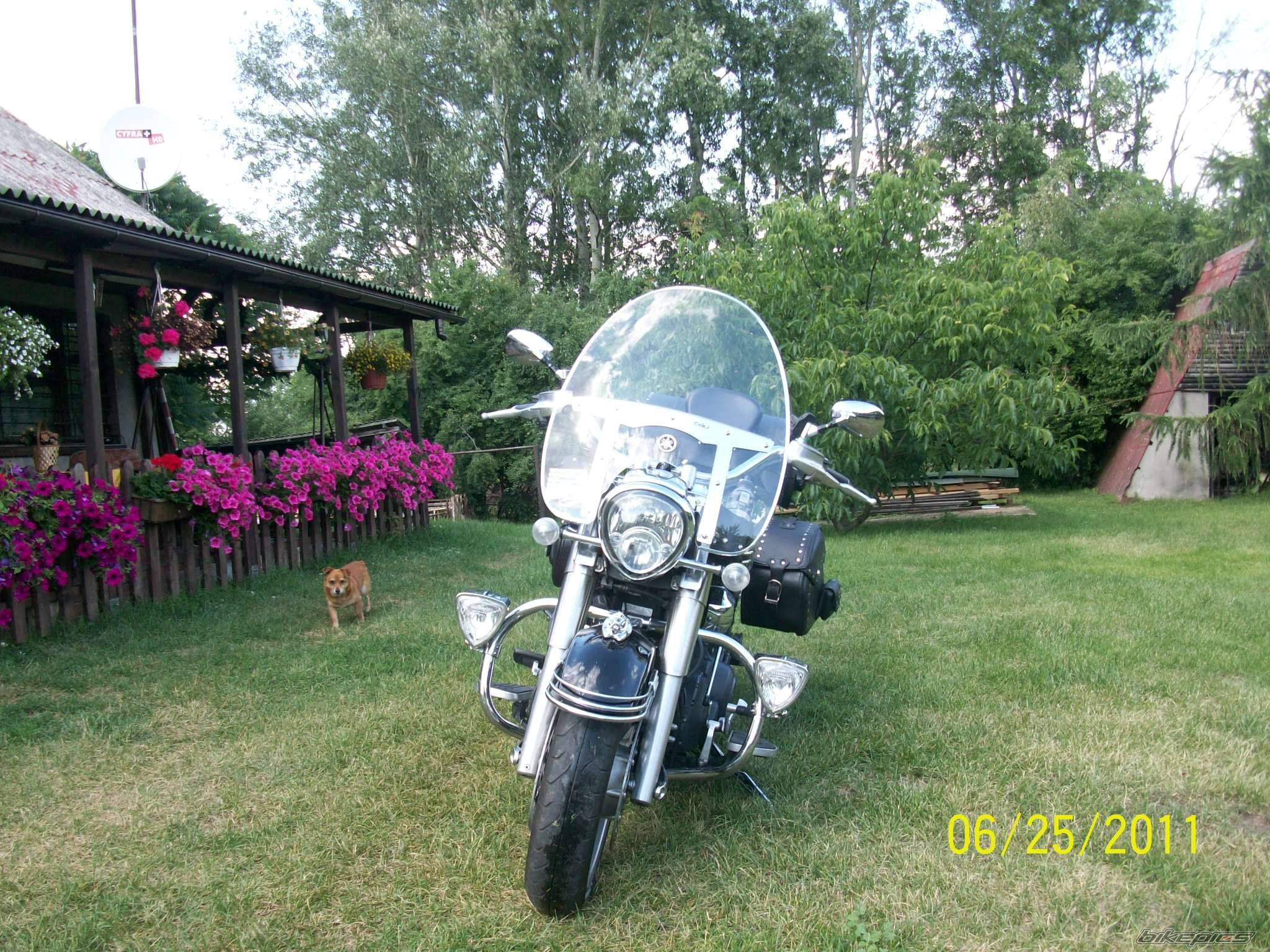 Photo 2232666